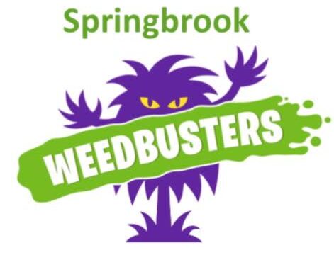 Springbrook Weedbusters