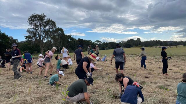 North East Albert Landcare and Catchment Group Planting Trees