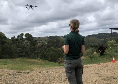 Kooralbyn Koala Drone Surveys