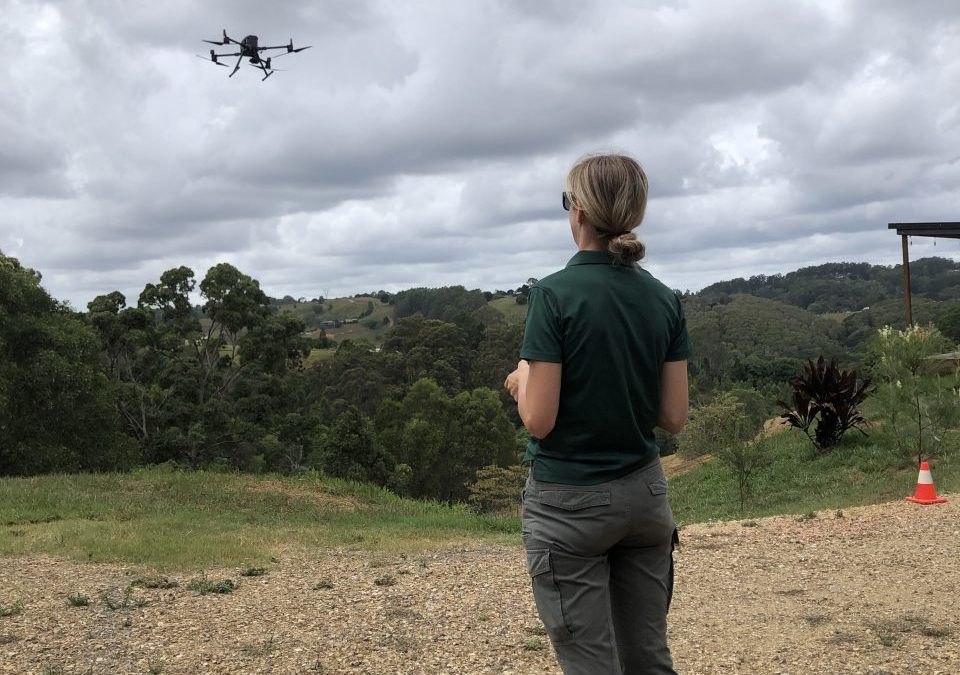 Kooralbyn Koala Drone Surveys